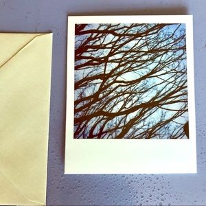 Polaroid Notes Notecard